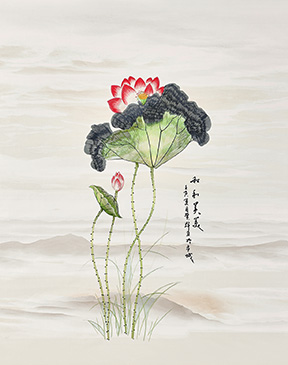 綻放未來(lái)-1TC